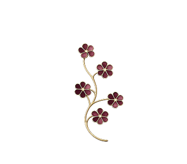 5 лет опыта преподавания