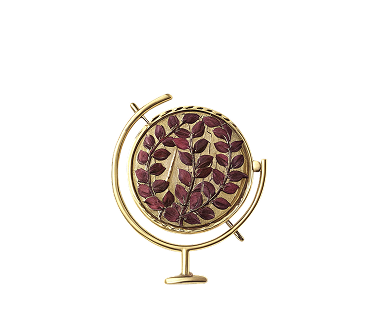 Международный сертификат